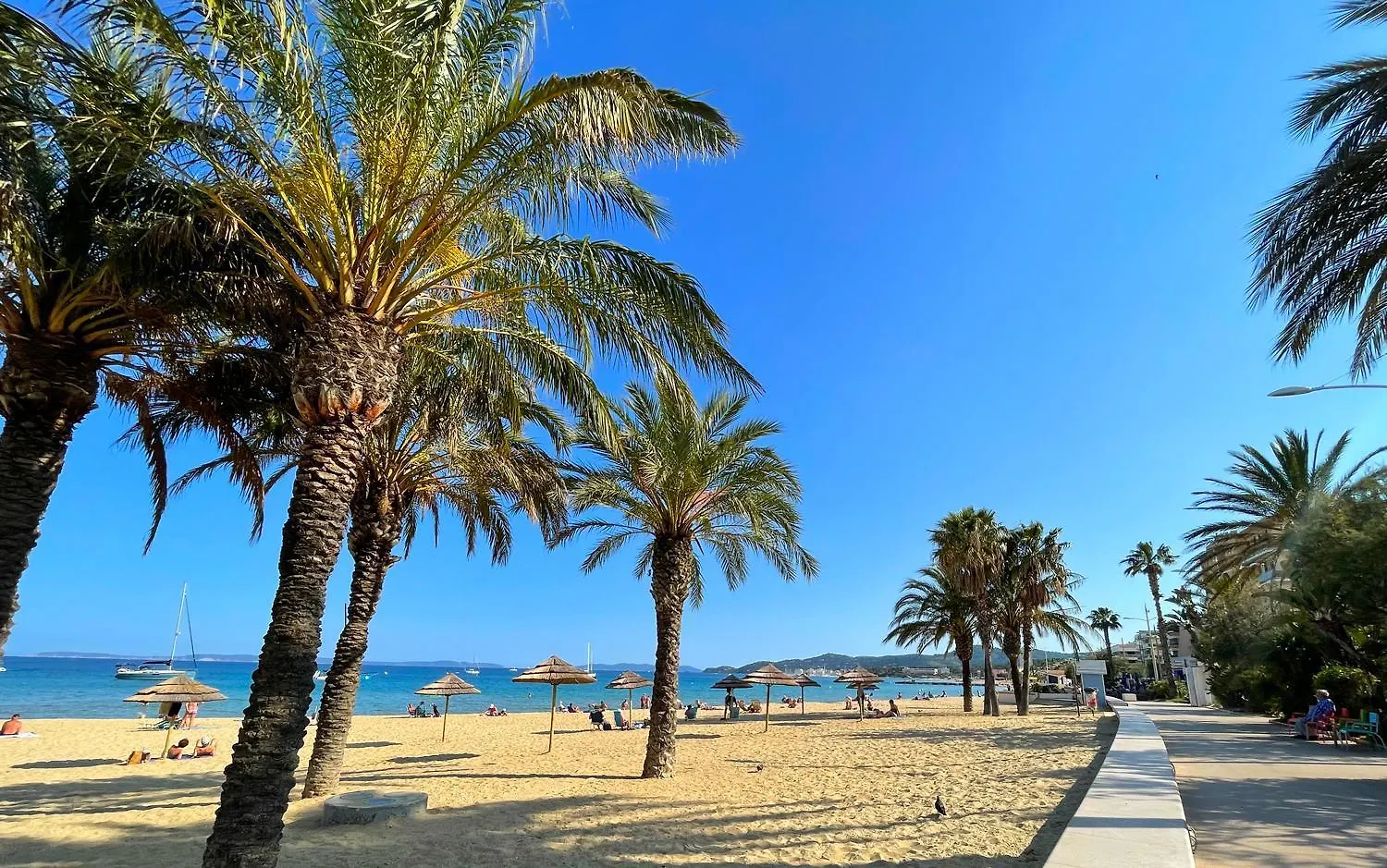 Apartamento L'Appartement Agave Au Lavandou Le Lavandou